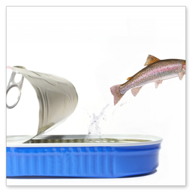 Sprung in die Freiheit