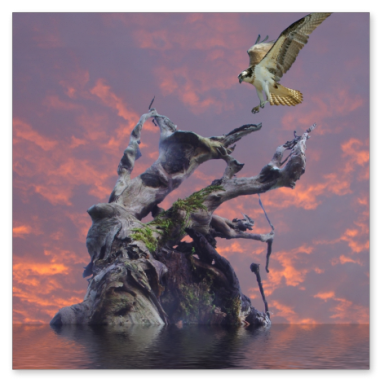 Untergang einer Insel